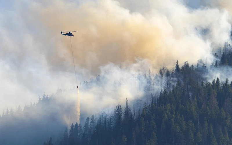 Washington State Wildfire Response and Member Support